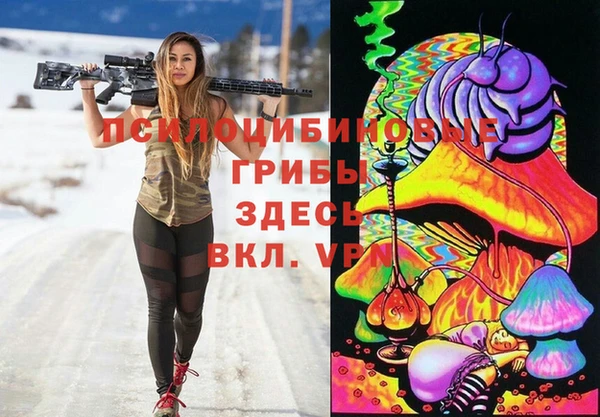 тгк Богданович