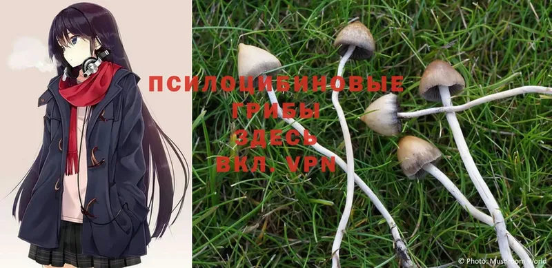 Галлюциногенные грибы Magic Shrooms  omg сайт  Лабытнанги 